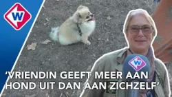 Maarten geeft 700 tot 800 euro per maand uit aan zijn hond en vindt het élke euro waard