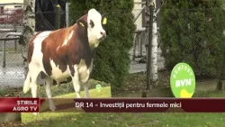 Bull Parade, 24th Edition – Sângeorgiu de Mureș 10/01/2026