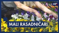 Mali rasadničari pod pritiskom rasta troškova i uvoza